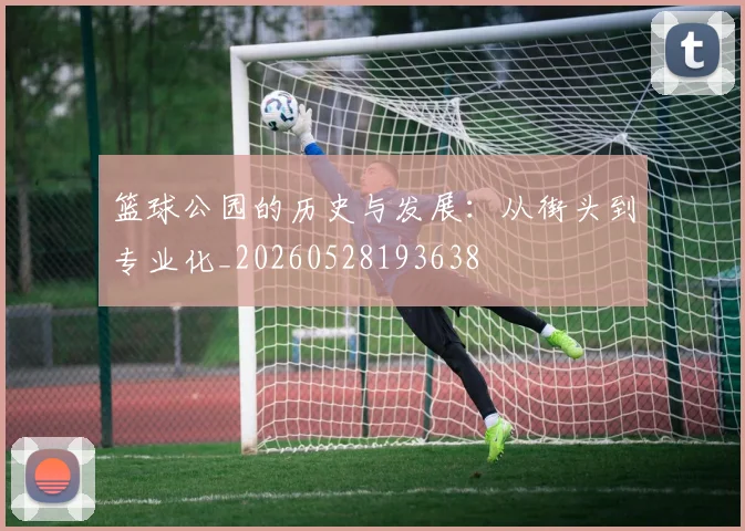 篮球公园的历史与发展：从街头到专业化_20260528193638