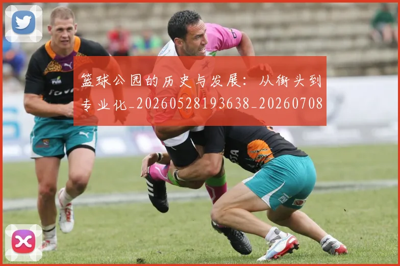 篮球公园的历史与发展:从街头到专业化_20260528193638_20260708195843