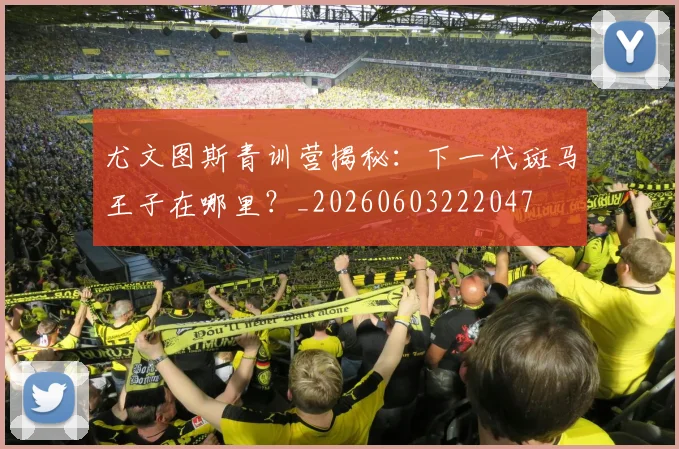 尤文图斯青训营揭秘：下一代斑马王子在哪里？_20260603222047
