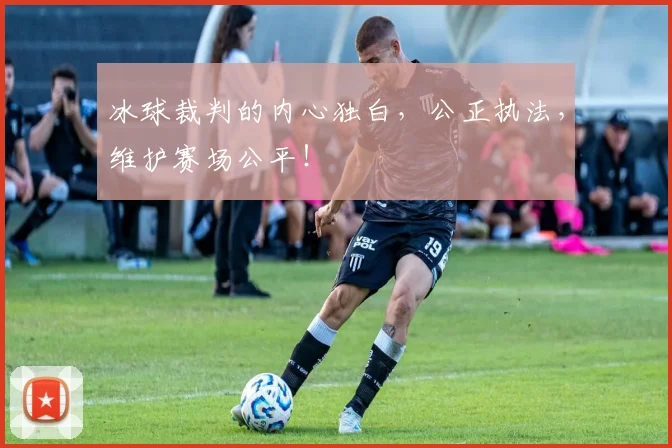 冰球裁判的内心独白，公正执法，维护赛场公平！