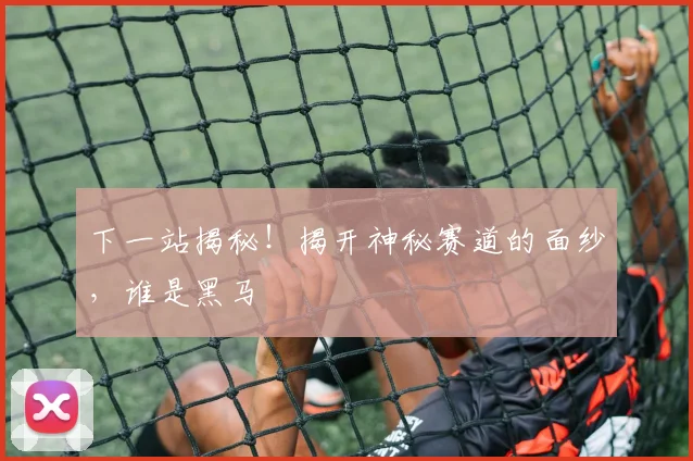 下一站揭秘！揭开神秘赛道的面纱，谁是黑马
