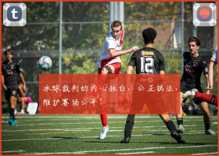 冰球裁判的内心独白，公正执法，维护赛场公平！